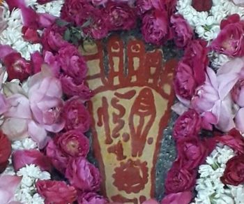 data provider in india